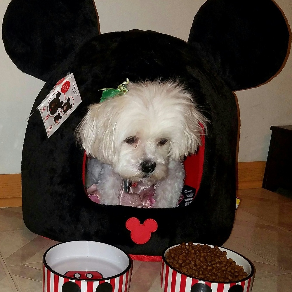 Meet your Posher, Erica